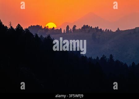 Rolling landscape at sunset light in a woodland Stock Photo