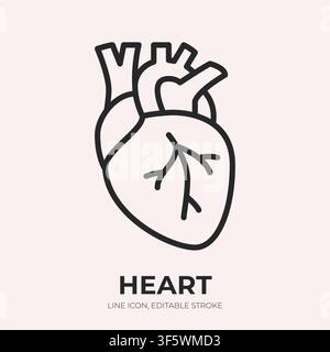 Heart line icon. Cardiology linear vector illustration. Thin sign of human anatomy, real human organ, cardiologist label, medical web pictogram. Stock Vector