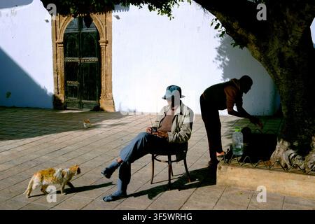 A stray cat approaches a man listening to a portable radio, Rabat, Morocco, North Africa Stock Photo
