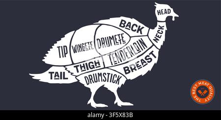 Turkey, poultry, hand-drawn butcher cuts Stock Vector