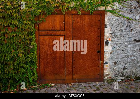 small rusty iron door and with ivy growing in a closeup taken up in Malo Vicenza Italy Stock Photo