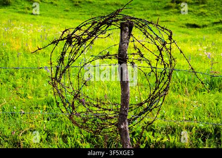 rusty barbed wire coiled on wooden pole on the pastures of Monte Altissimo di Nago in Trento, Italy Stock Photo