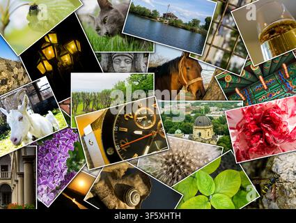 Mosaic collage with pictures of different places, landscapes, flowers, insects, objects and animals shot by myself Stock Photo