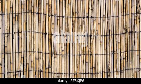 Texture of wall of bound bamboo Stock Photo