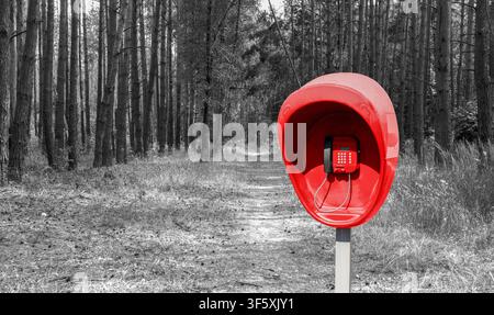Pillar with red public telephone set in the pine forest black and white styled Stock Photo