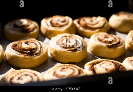 Appetizing cinnamon rolls. The process of making buns sinabon. Raw dough for buns. Close-up. Selective focus. Stock Photo