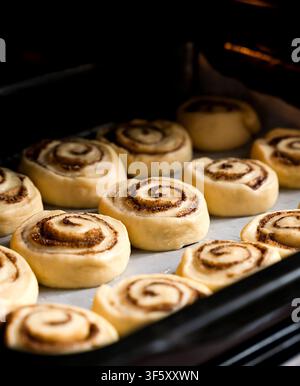 Raw cinnamon rolls on a baking sheet in the oven. The process of making buns sinabon. Close-up. Selective focus. Stock Photo