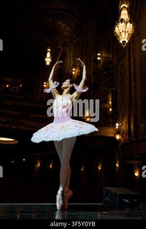 Ballerina Raising Both Arms Overhead in Theatrical Pose Stock Photo