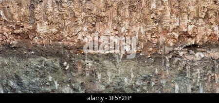 Excavated earth wall texture, rocky soil substrate above a clay layer, roots, stones and natural strata, closeup view Stock Photo