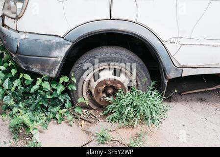 Close-up of a flat tire on an abandoned old minibus surrounded by weeds. Rusty wheel and damaged vehicle illustrate neglect, decay, lack of maintenance, urban abandonment, and aging transportation. Stock Photo
