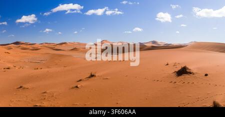 Sossusvlei dunes and Deadvlei clay pan under daylight in Namibia Stock Photo