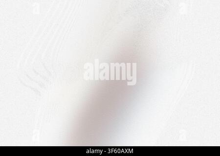 A clean, minimalist abstract background with a fine grainy texture and a soft, luminous gradient transitioning from light grey to bright white. Stock Photo
