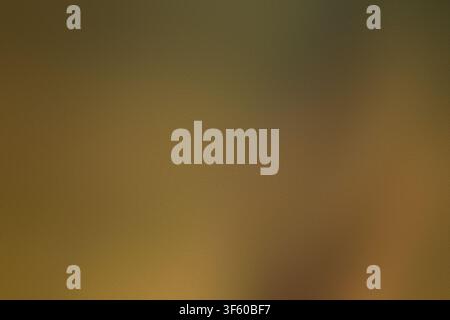 A sophisticated bronze-toned background with a fine, grainy texture and a gentle diagonal light gradient, offering a metallic and refined appearance. Stock Photo