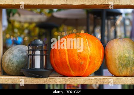 Rustic Halloween and Thanksgiving holiday decor with colorful pumpkins and lanterns arranged on wooden shelves. Cozy autumn harvest display for season Stock Photo