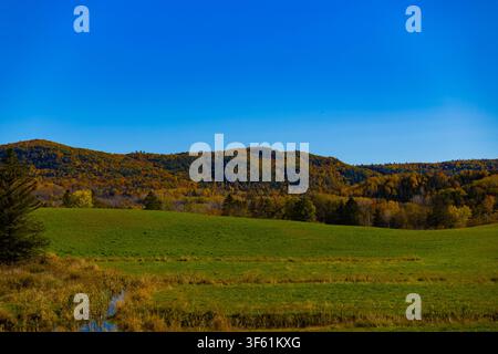 A picturesque autumn view across wide green pastures toward rolling hills covered in vibrant fall foliage under a clear blue sky in the Gatineau Valle Stock Photo