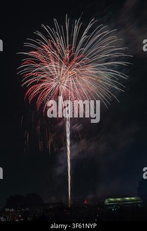 A spectacular starburst over the Edogawa River, Capturing a piece of history at Tokyo's Katsushika Fireworks Festival. Stock Photo