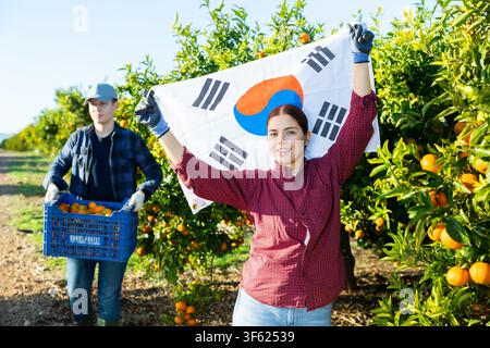 Joyful young woman gardener waving flag of South Korea while male worker carrying box with tangerines on farm Stock Photo