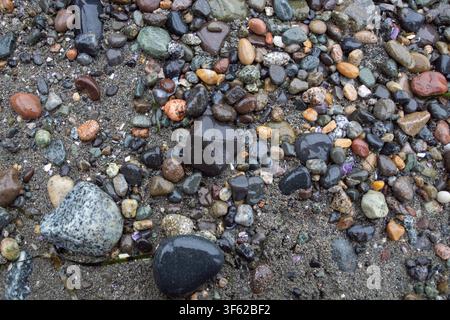 A top-down, close-up view of various multi-colored wet pebbles and smooth stones scattered across the sand on a coastal beach in White Rock, BC,Canada Stock Photo
