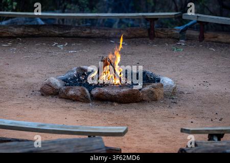 fire leaping flame fire pit in ring stones in ring of plank seats in bush setting queensland australia Stock Photo