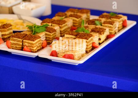 Assorted slices of layered honey cake and napoleon dessert garnished with fresh strawberry and mint on white plates during a buffet event. Stock Photo