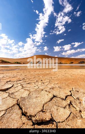 Close-up of dry dessicated earth near the flooded Sossusvlei salt pan in Namib-Naukluft National Park, Namibia, Africa Stock Photo