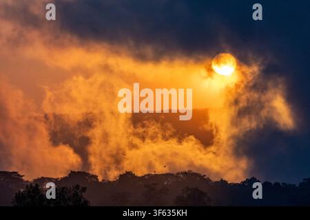 Clouds of thundering mist and smoke of Victoria Falls at sunrise - VIctoria Falls, Zimbabwe Stock Photo