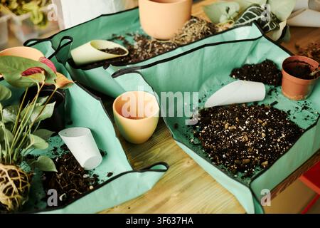Gardening tools, soil, and pots arranged on green repotting mats for indoor plant care. High angle view of home gardening setup ideal for e-commerce product marketing and hobby blogs Stock Photo