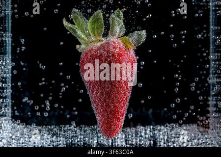 A strawberry floats inside a glass container filled with carbonated water and is covered in bubbles Stock Photo