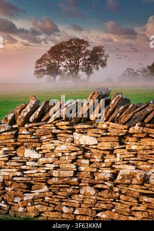 GB - GLOUCESTERSHIRE: Typical old Dry Stone Wall in the Cotswolds  (Photo: Edmund Nagele F.R.P.S.) Stock Photo