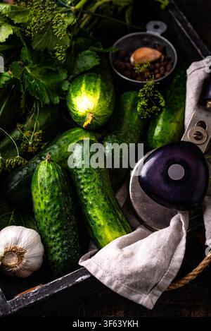 Preparation of marinated salty pickled cucumbers Stock Photo