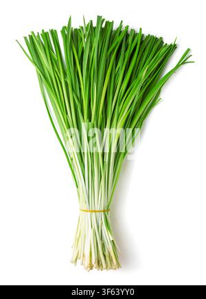 Bundle of Green Garlic Chives Isolated on White Background Stock Photo