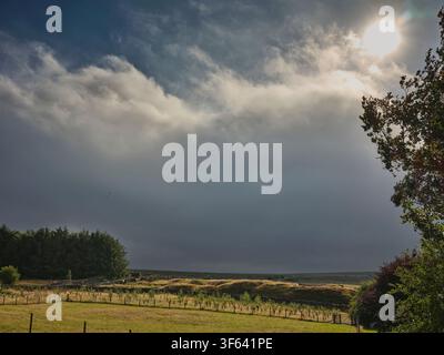 Mid heatwave and huge storm clouds gather over North Yorkshire moorland at 900ft Stock Photo