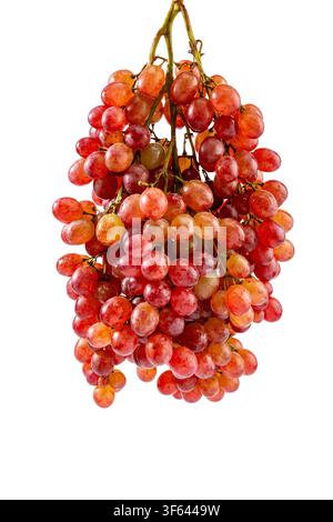 Bunch of Red Ruby Seedless Grapes Close Up Stock Photo