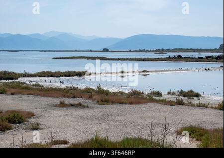 Greece, Southeastern Europe, Corfu, a Greek island off the northwest coast in the Ionian Sea, Lefkimmi, Molos, Lefkimmi Salt Flats Stock Photo