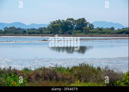 Greece, Southeastern Europe, Corfu, a Greek island off the northwest coast in the Ionian Sea, Lefkimmi, Molos, Lefkimmi Salt Flats Stock Photo