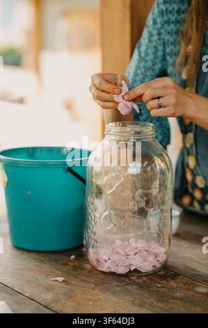 woman adding petals to jar in calm kitchen setting overhead view with wooden table and blue bucket. Stock Photo