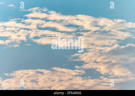 Soft White Cumulus Clouds Drifting Across a Clear Blue Sky at Golden Hour Stock Photo