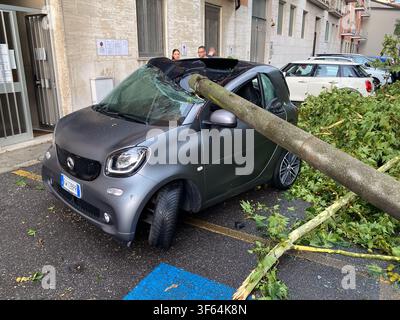 Cremona, Italy July 8th 2026 Smart car sustaining damage from a fallen tree on Via Palio dell'Oca in Cremona, Lombardy, Italy, highlighting extreme we Stock Photo