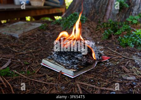 Open book burns with vibrant orange flames on a forest floor covered in pine needles and twigs, leaving behind charred and blackened pages as symbol o Stock Photo