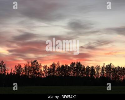 A vibrant sunset sky with swirling pink and gray clouds casts a dramatic backdrop over a silhouette of a forest near Saesaare, Taevaskoja, Põlvamaa, E Stock Photo
