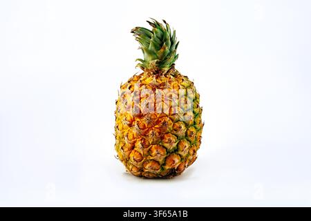Single Colombian Oro Miel pineapple (Ananas comosus) isolated on white background Stock Photo