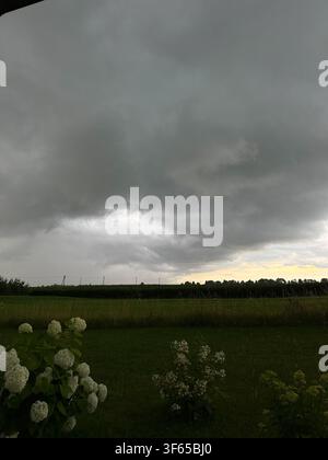 Dramatic dark storm clouds gathering above a peaceful rural landscape with green fields and blooming hydrangeas. Atmospheric weather scene ideal for c Stock Photo