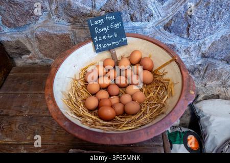 Large brown eggs on display and for sale in a farm shop. Stock Photo