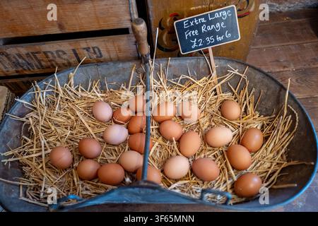 Large brown eggs on display and for sale in a farm shop. Stock Photo
