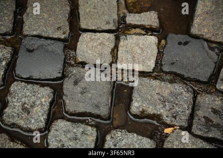 Close view of old cobblestone street pavement with irregular stone blocks and rain water collected between the gaps. The stones show different shades Stock Photo