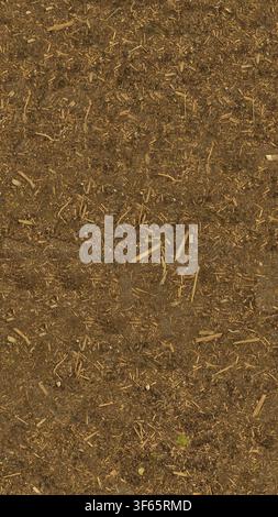 Full frame view of brown wood chips, bark shavings, and dark garden soil texture. Stock Photo
