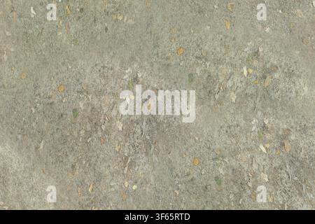 A top-down full frame shot of dry ground covered with scattered autumn leaves and small twigs. Stock Photo