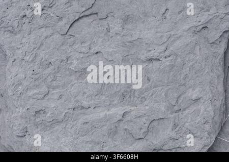 Rugged Gray Stone Surface With Organic Patterns Stock Photo