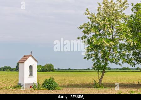 Small white roadside chapel shrine with a cross stands beside blossoming trees in a peaceful green countryside field, evoking rural tradition, faith, Stock Photo