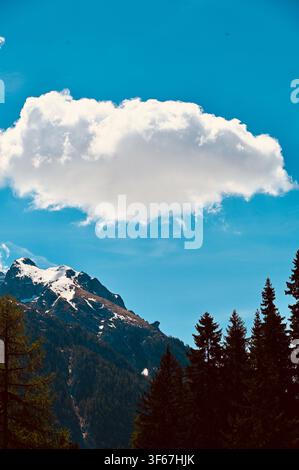 A vertical landscape photograph capturing a single, fluffy, isolated white cumulus cloud floating in the center of a vibrant turquoise-blue sky. Below, dark pine trees and a rugged, snow-dusted mountain peak frame the lower portion of the image, creating a clean and minimalist composition. Stock Photo